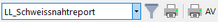 2024_SN_Report_drucken